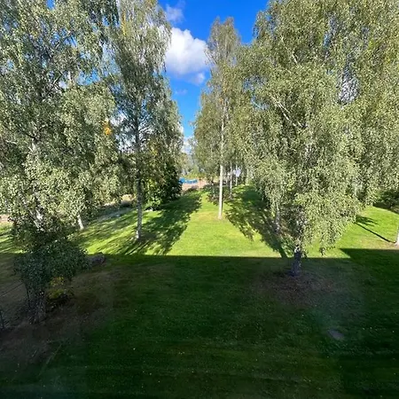 Studio Elli 24 Suuri Huone 25m2 Micro Keitin Jaeaekaappi *