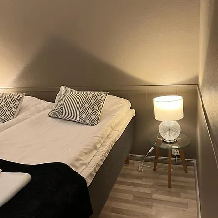 Studio Elli 24 Suuri Huone 25m2 Micro Keitin Jaeaekaappi