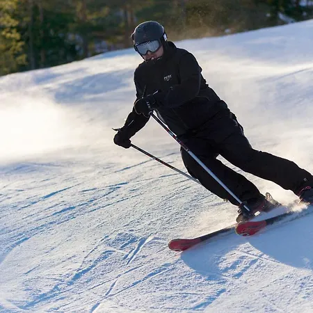 Studio Elli 24 Suuri Huone 25m2 Micro Keitin Jaeaekaappi Sastamala